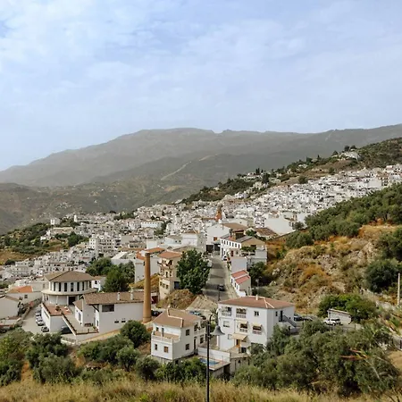 Estrella De La Montana
