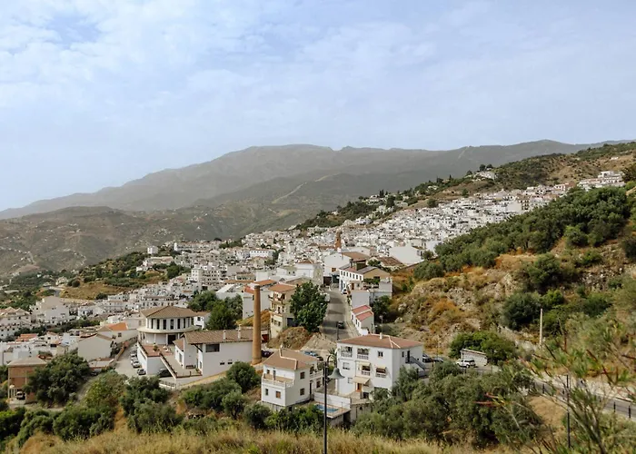 Estrella De La Montana